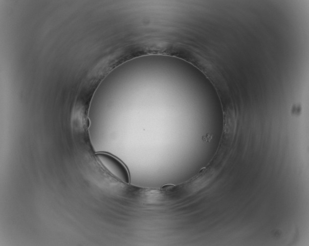 X0000112960287200909031029