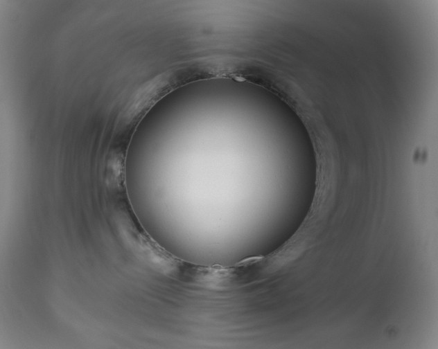 X0000112960288200909031029