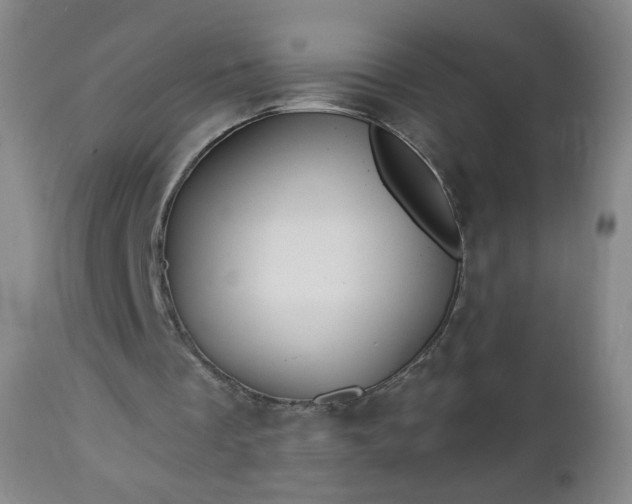 X0000112960289200909031028