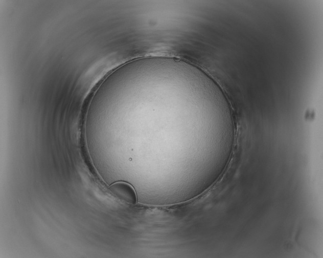 X0000112960290200909031028