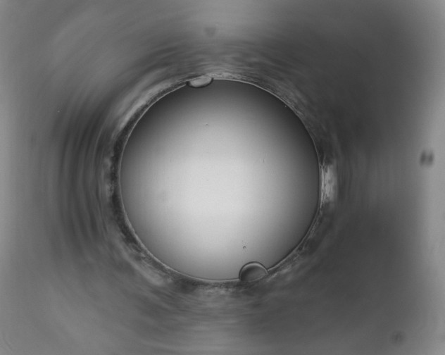 X0000112960291200909031028