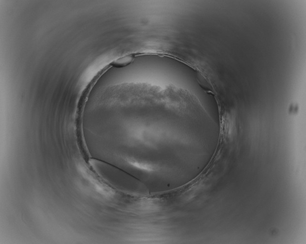 X0000112960292200909031028