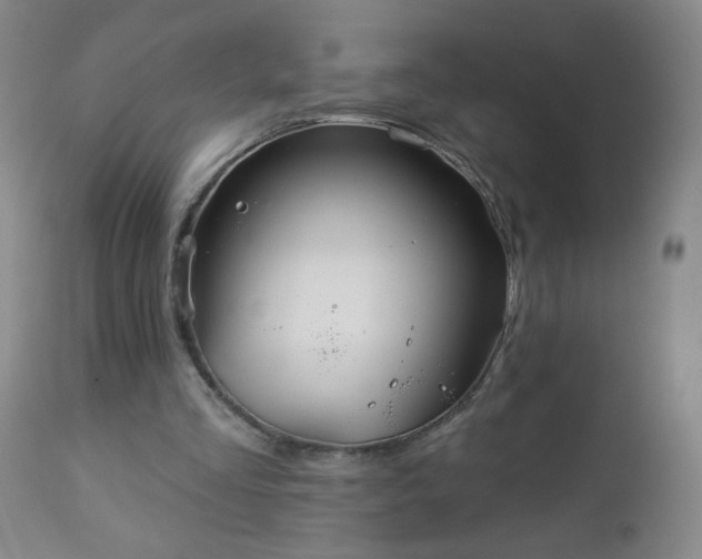 X0000112960293200909031028