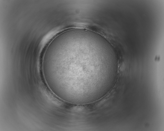 X0000112960294200909031028