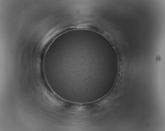 X0000112960295200909031028