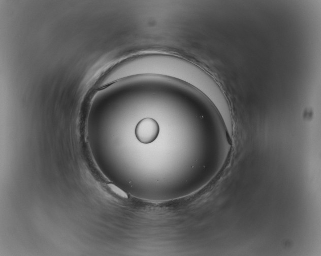 X0000112960296200909031028