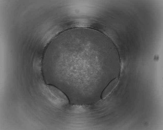 X0000112960297200909031028