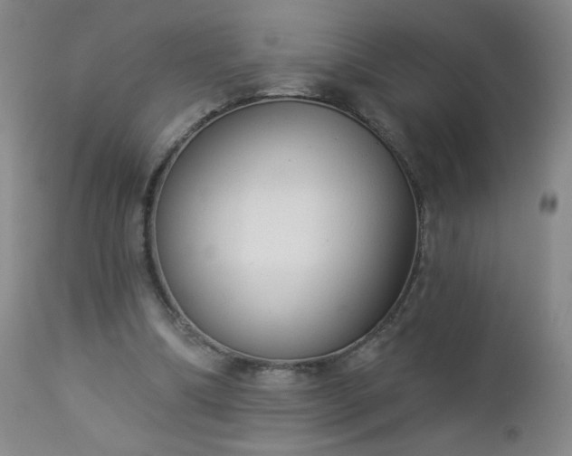 X0000112960298200909031028