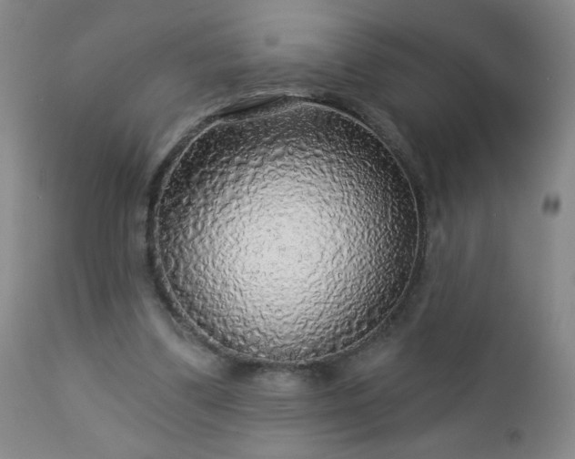 X0000112960299200909031028