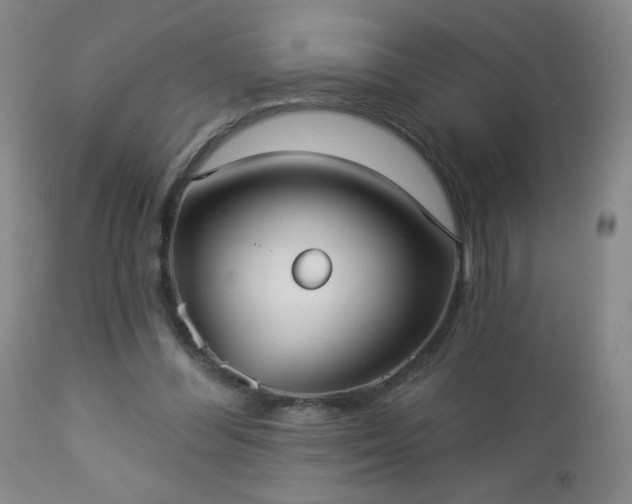 X0000112960300200909031028