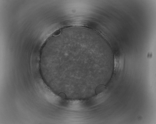 X0000112960301200909031028