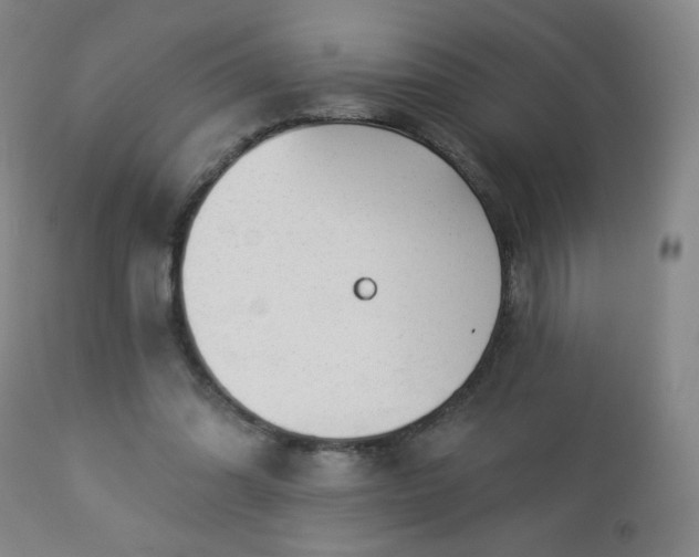 X0000112960302200909031028