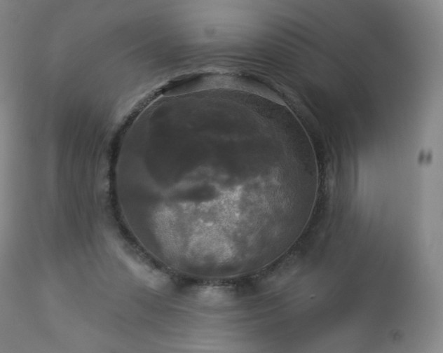 X0000112960303200909031028