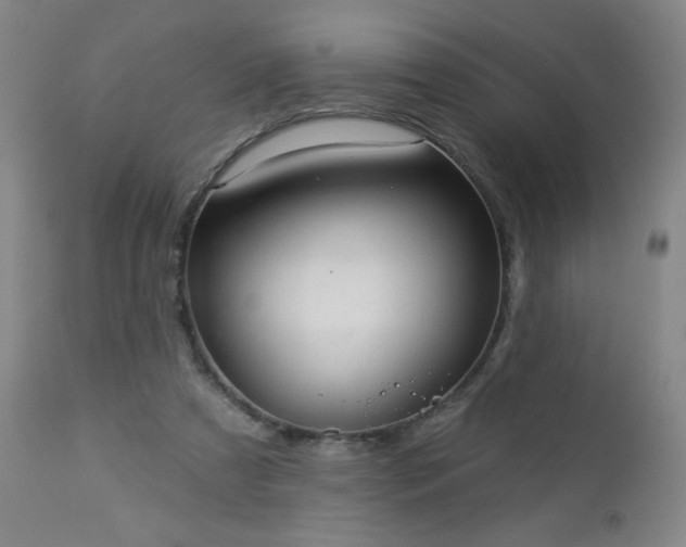 X0000112960305200909031028