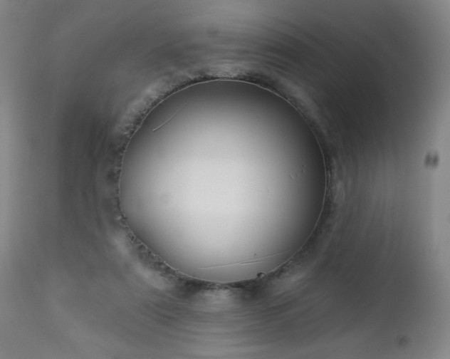 X0000112960307200909031028