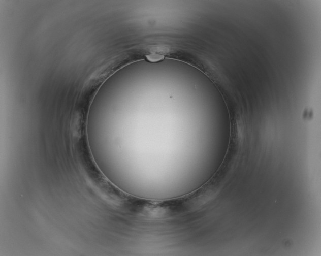 X0000112960311200909031028