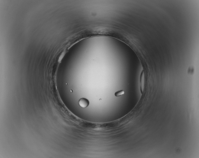 X0000112960312200909031028