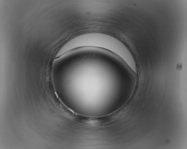 X0000112960313200909031028