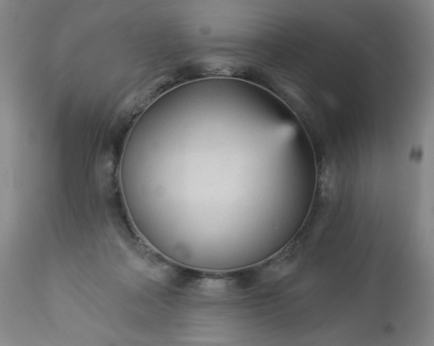 X0000112960314200909031028