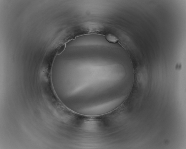 X0000112960316200909031028