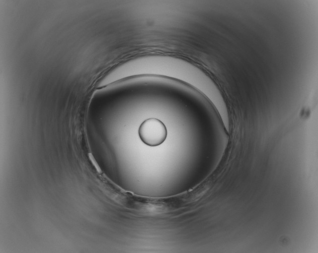 X0000112960317200909031028