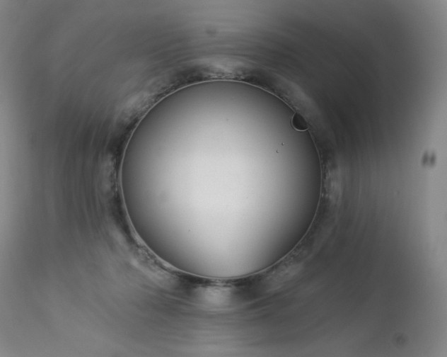 X0000112960318200909031028