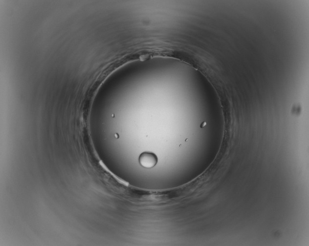 X0000112960320200909031028