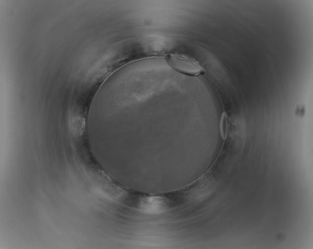 X0000112960324200909031028