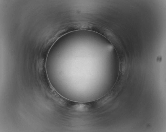 X0000112960326200909031028