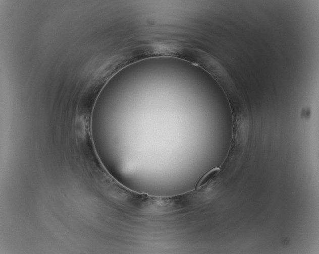 X0000112960329200909031028