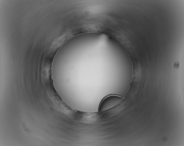 X0000112960334200909031028