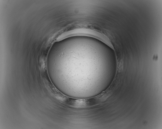 X0000112960335200909031027