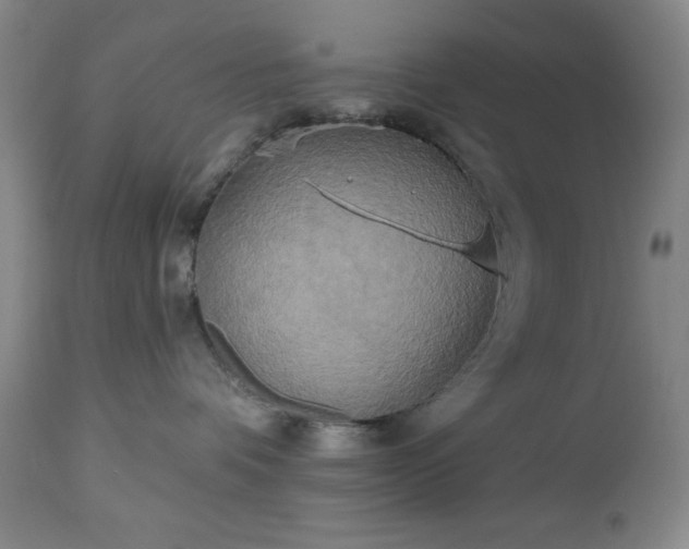 X0000112960336200909031027