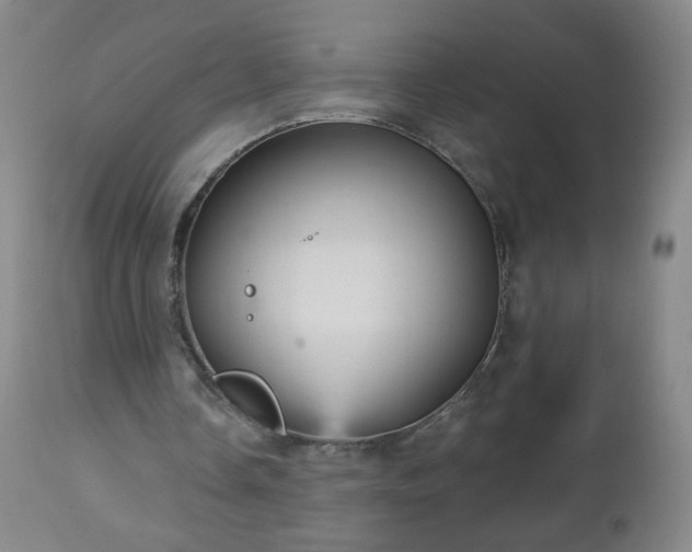 X0000112960338200909031027