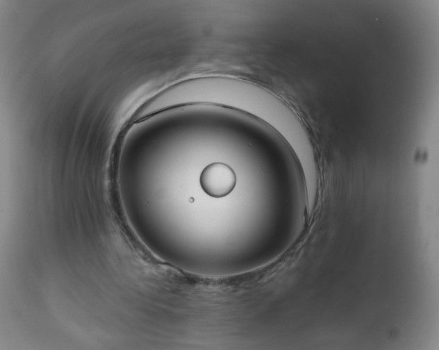 X0000112960340200909031027