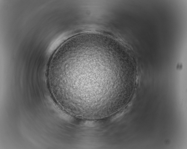 X0000112960341200909031027