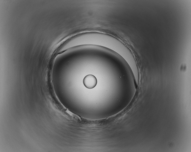 X0000112960344200909031027