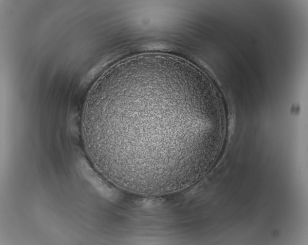 X0000112960345200909031027