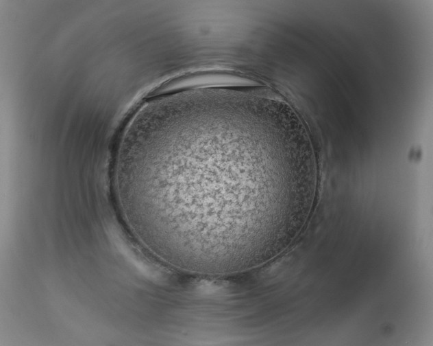 X0000112960346200909031027