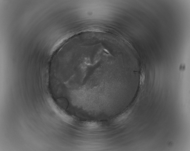 X0000112960349200909031027