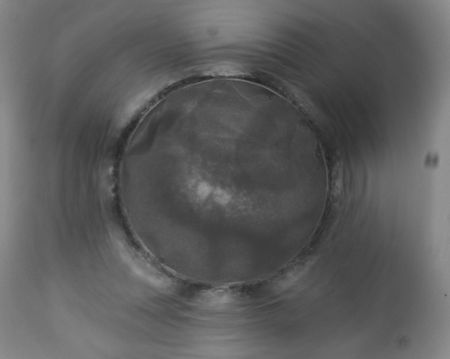 X0000112960351200909031027