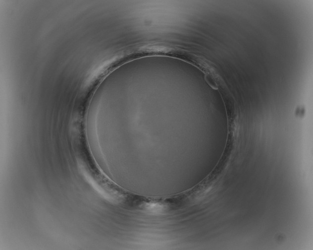 X0000112960352200909031027