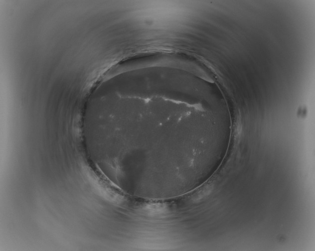 X0000112960353200909031027