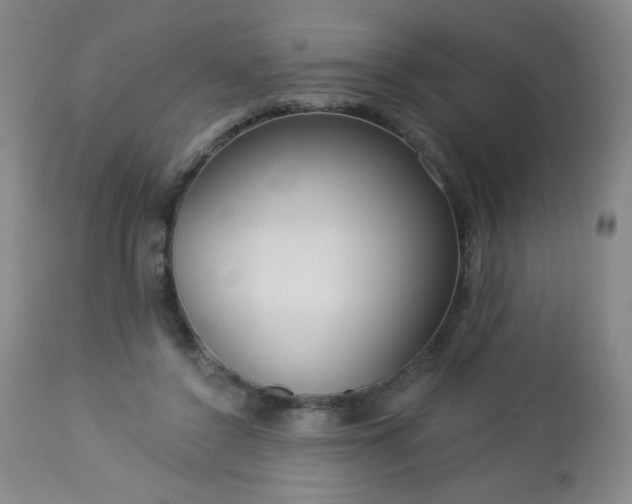 X0000112960356200909031027