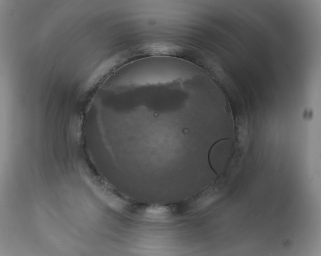 X0000112960357200909031027