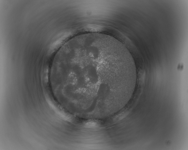 X0000112960358200909031027