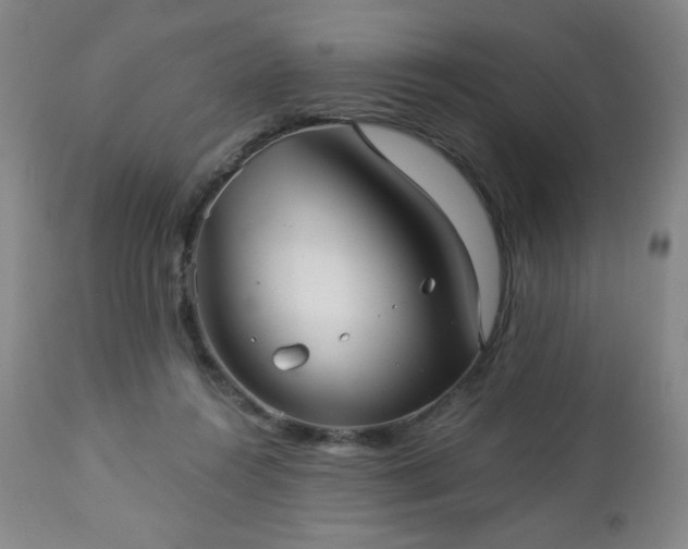 X0000112960360200909031027