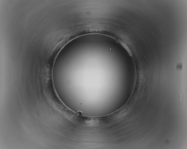 X0000112960362200909031027