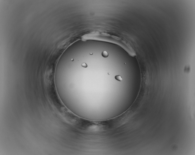 X0000112960364200909031027