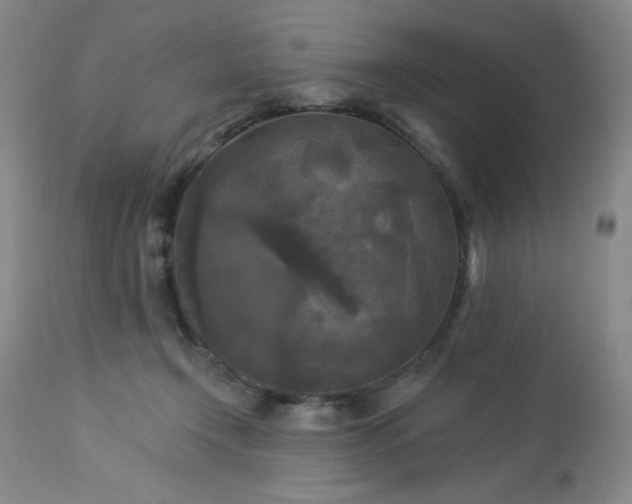 X0000112960366200909031027